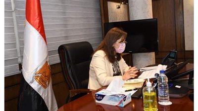 وزيرة التخطيط: ندرس إتاحة برنامج الماجستير المهني إلكترونيًا