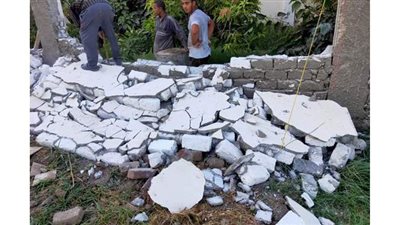 الري تشيد بمبادرة نائب برلمان بإزالة سور مخالف علي نهر النيل  علي نفقته الخاصة