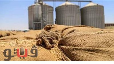 توريد 129 ألفا و 863 طن قمح لشون وصوامع الغربية