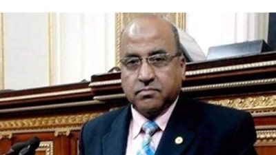 برلماني يطالب بتكامل بين وزارتي الزراعة والصناعة لإحياء صناعة الغزل والنسيج