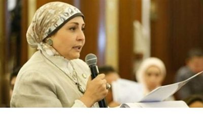 نائبة  تطالب بتطوير موقع هيئة المشروعات الصغيرة ودعمه بالبيانات