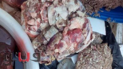 تحرير 53 محضر مخالفة وضبط 3 طن دهون و475 كجم أسماك بالشرقية | صور