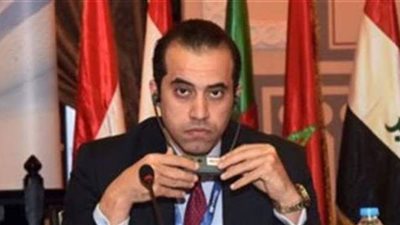 محمود فوزي: مسئولية قانونية على نقل المقاتلين الإرهابيين الأجانب إلى ليبيا