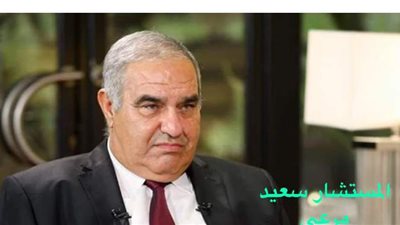 الدستورية تقضي بإلزام تضامن المشترى مع البائع فى أداء الضرائب