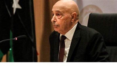 عقيلة صالح: مبادرة القاهرة الحل الوحيد للأزمة الليبية