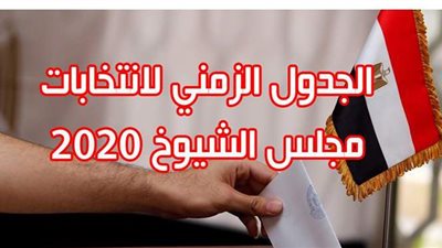 الجدول الزمني لانتخابات مجلس الشيوخ 2020 | إنفو جراف