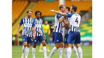 برايتون يزيد متاعب نورويتش ويهزمه بهدف نظيف