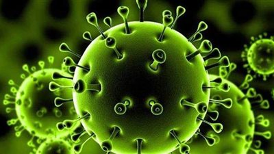 حالات الإصابة بفيروس كورونا في أنحاء العالم تتجاوز 11 مليونًا