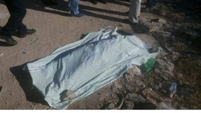 الكلاب الضالة فضحت أمرهما.. أمن الجيزة يفك لعز العثور على جثة متحللة بصحراء الصف