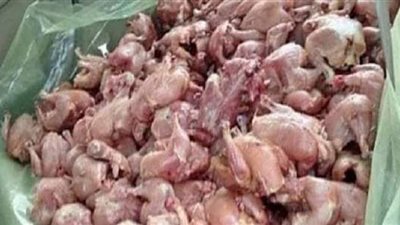 تموين بورسعيد: ضبط سمان مجهول المصدر وغير صالح للاستخدام | صور