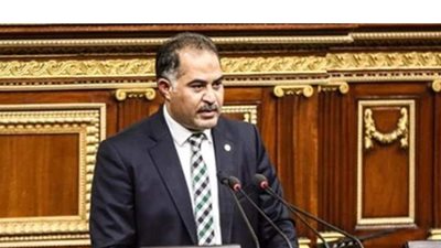 وكيل البرلمان: حزب الوفد شهد تطورًا كبيرًا في آخر عامين