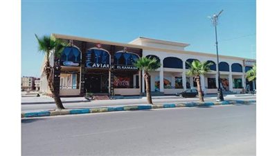 الإسكان: مشروع سوق السمك المتطور بالإسماعيلية ضمن خطة تطوير الأسواق العشوائية