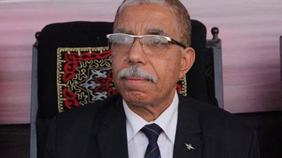 حماة الوطن: جزء أصيل من  ائتلاف دعم مصر فى قوائم 