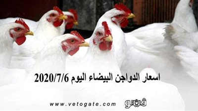 اسعار الدواجن البيضاء اليوم 2020/7/6
