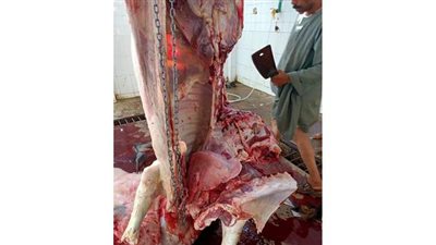 الزراعة: ضبط 40 طن لحوم ودواجن وأسماك فاسدة  خلال شهر يونيو