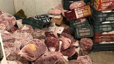 التحفظ على صاحب ثلاجة مجمدات لحيازته أسماكًا ولحومًا فاسدة في الخليفة
