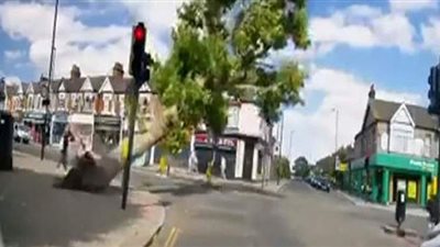 بسبب الرياح القوية.. شجرة عملاقة كادت تودي بحياة سيدتين | فيديو