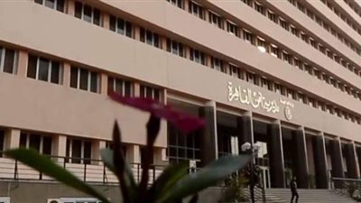 أمن القاهرة يضبط أبطال فيديو مشاجرة مسجد  المعادى | فيديو