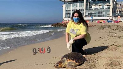 بعد تداول صورها على 