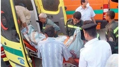 مصرع واصابة 3 اشخاص من اسرة واحدة إثر حادث مروري في الوادي الجديد