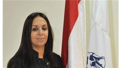 قومى المرأة: عدد الشكاوى زاد بعد قضية أحمد بسام زكي
