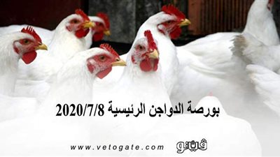 بورصة الدواجن الرئيسية 2020/7/8