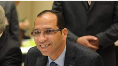 نائب: مشروع البتلو يساهم فى تحسين دخل الأسر الريفية