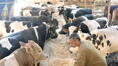 نقيب الفلاحين  يكشف أسباب تراجع إقبال  المواطنين على شراء الأضاحي