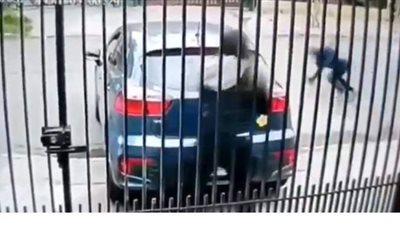 تعرض مسؤولة تشيلية لعملية اغتيال فاشلة | فيديو