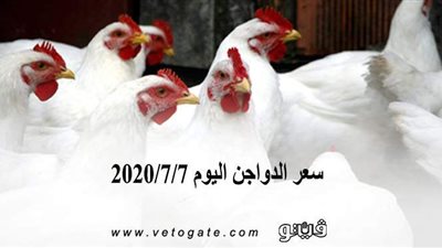 سعر الدواجن اليوم 2020/7/7