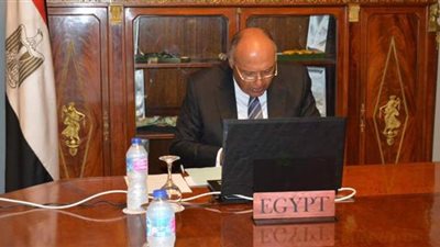 شكري يشارك في اجتماع وزراء خارجية ترويكا الاتحاد الأفريقي وروسيا