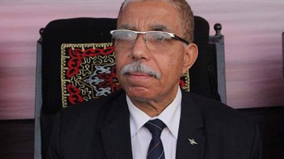 الغباشي: خطة الضم الإسرائيلية للضفة انتهاك للقانون الدولي