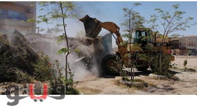 محافظ البحر الأحمر: بدء الموجة الـ16 لإزالة التعديات على أراضي الدولة  | صور