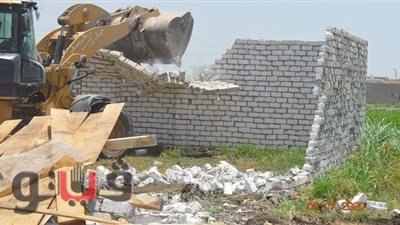 إزالة 11 حالة تعدٍ على أراضٍ زراعية  ببني سويف في أول أيام استرداد حق الشعب