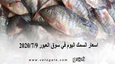 اسعار السمك اليوم في سوق العبور 2020/7/9