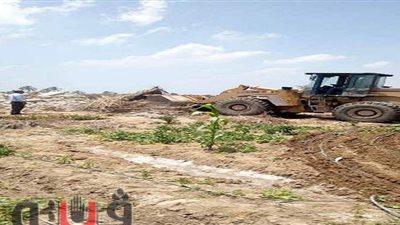 إزالة ٢٩ حالة تعد على مساحة ١٦٦ فداناً بالشرقية | صور