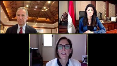 المشاط والقصير يبحثان مع الشركاء الدوليين مشروعات القطاع الزراعي