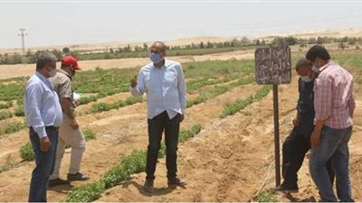 محافظ المنيا : استرداد 632 فدان أملاك دولة بشرق النيل بمركز مطاي