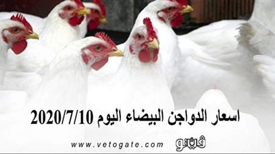 اسعار الدواجن البيضاء اليوم 2020/7/10