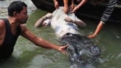 بالأسماء.. غرق 7 أشخاص  وإنقاذ 2 في حالة خطيرة بشاطئ النخيل في الإسكندرية