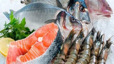 الحكومة تنفي استيراد أسماك غير صالحة للاستهلاك وطرحها بالأسواق