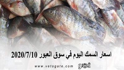 اسعار السمك اليوم في سوق العبور 2020/7/10