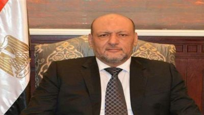 رئيس حزب المصريين: مناورة 