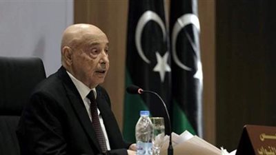 ممثلة أمين الأمم المتحدة بليبيا تدعو إلي وقف إطلاق النار بشكل فوري