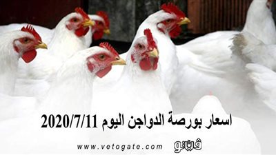 اسعار بورصة الدواجن اليوم 2020/7/11