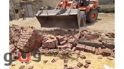 إزالة 22 حالة تعد  واسترداد  أكثر من 200 فدان  بالإسماعيلية | صور