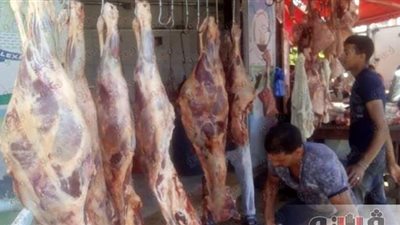 القاهرة التجارية تطالب الأحياء بتسهيل الحصول على تراخيص الشوادر خلال عيد الأضحى