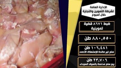 نتائج الحملات التموينية ومكافحة انتشار فيروس كورونا خلال أسبوع  | فيديو