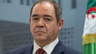 الجزائر تؤكد تواصلها مع مصر بشأن ليبيا وتحذر من تحولها لصومال جديدة
