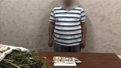 إحباط ترويج 250 كيلو بانجو في الشرقية